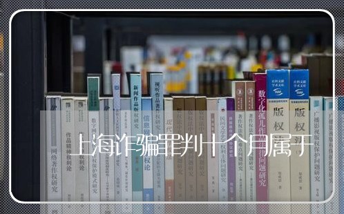 上海诈骗罪判十个月属于/2023041015140