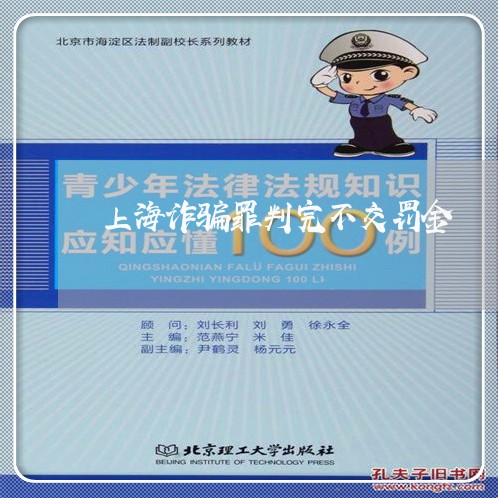 上海诈骗罪判完不交罚金/2023041018471