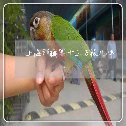 上海诈骗罪十三万叛几年/2023021581703 上海诈骗罪十三万叛几年/2023021581703