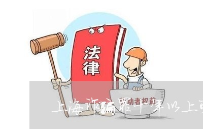 上海诈骗罪十年以上可假释吗/2023032283934