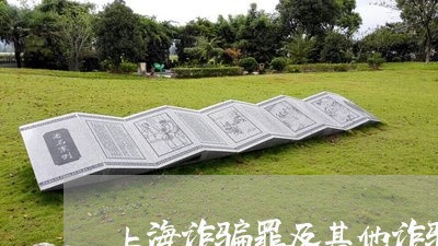 上海诈骗罪及其他诈骗罪/2023021538493 上海诈骗罪及其他诈骗罪/2023021538493