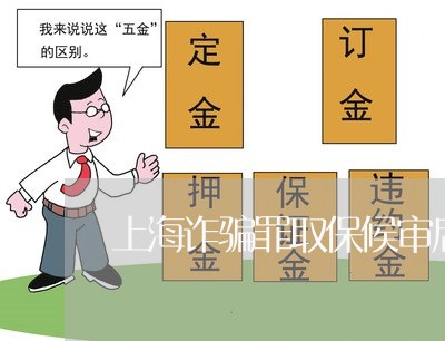 上海诈骗罪取保候审后被收监/2023032213826