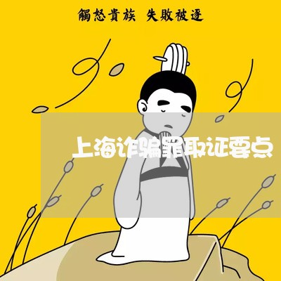 上海诈骗罪取证要点/2023032560391 上海诈骗罪取证要点/2023032560391