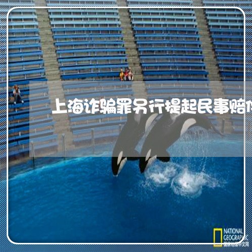 上海诈骗罪另行提起民事赔偿/2023032271514 上海诈骗罪另行提起民事赔偿/2023032271514