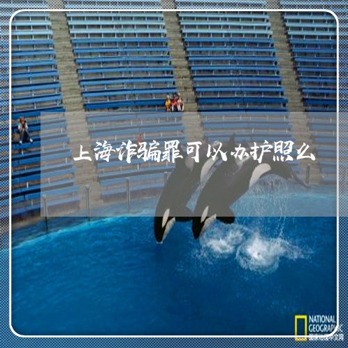 上海诈骗罪可以办护照么/2023021530373 上海诈骗罪可以办护照么/2023021530373
