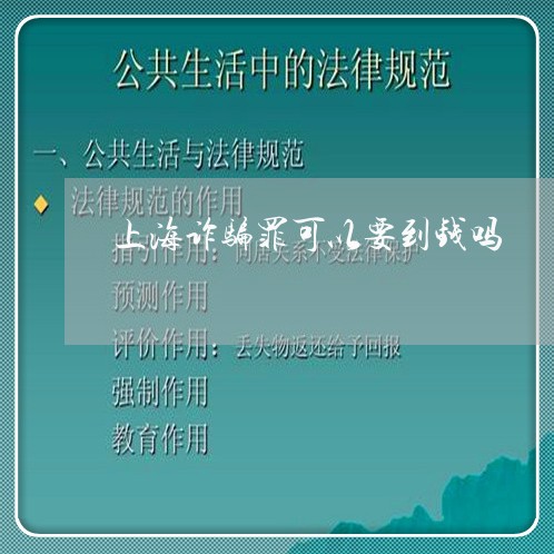 上海诈骗罪可以要到钱吗/2023041005048