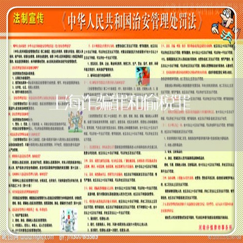 上海诈骗罪和偷税罪/2023032542716