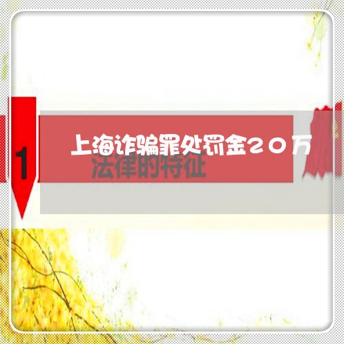 上海诈骗罪处罚金20万/2023021573703 上海诈骗罪处罚金20万/2023021573703
