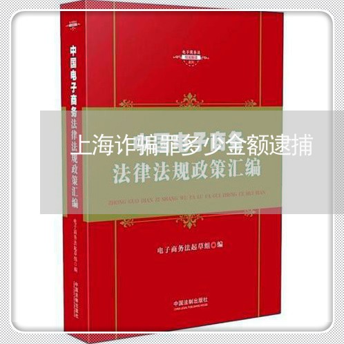 上海诈骗罪多少金额逮捕/2023041193825