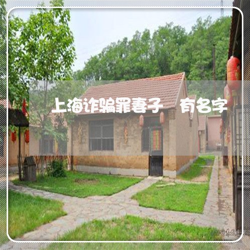 上海诈骗罪妻子沒有名字/2023021583615 上海诈骗罪妻子沒有名字/2023021583615