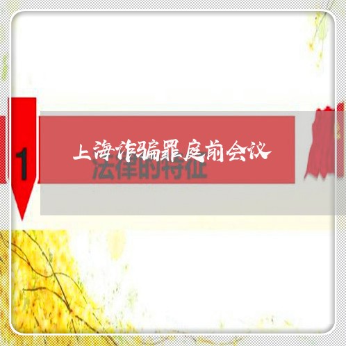 上海诈骗罪庭前会议/2023032536231