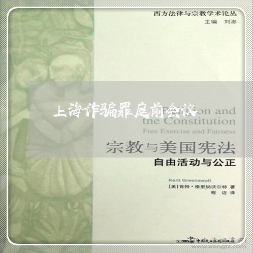 上海诈骗罪庭前会议/2023032549592
