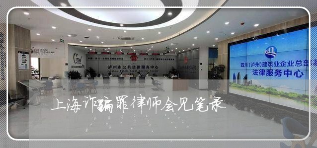 上海诈骗罪律师会见笔录/2023041191937