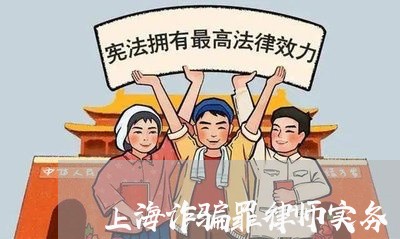 上海诈骗罪律师实务/2023032559371