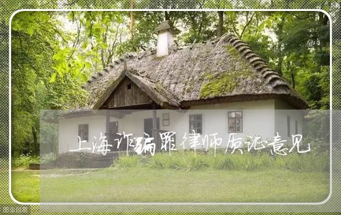上海诈骗罪律师质证意见/2023021552482 上海诈骗罪律师质证意见/2023021552482
