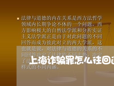 上海诈骗罪怎么往回返钱/2023041115059