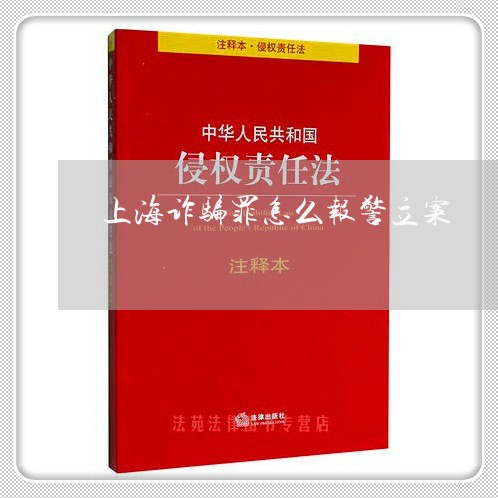 上海诈骗罪怎么报警立案/2023041137295