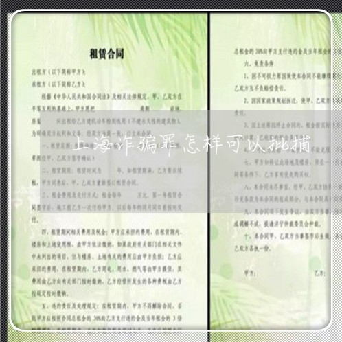 上海诈骗罪怎样可以批捕/2023041193604