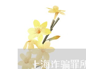 上海诈骗罪所判罚金缴纳/2023021621692 上海诈骗罪所判罚金缴纳/2023021621692