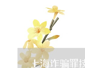 上海诈骗罪技术人员取保候审/2023032283706