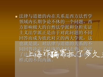 上海诈骗罪抓了多久立案/2023041140473