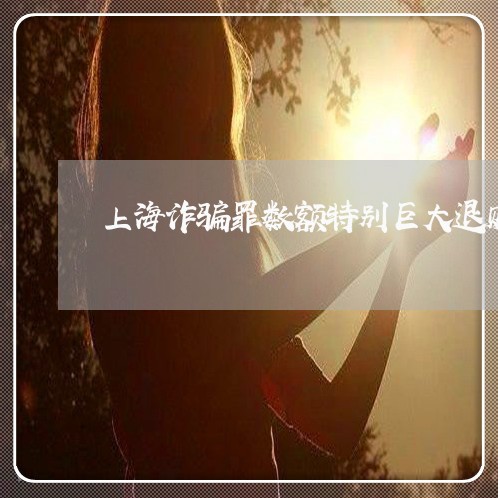上海诈骗罪数额特别巨大退赃/2023032238050