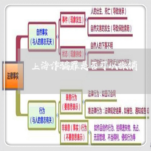 上海诈骗罪是否可以撤销/2023041172814