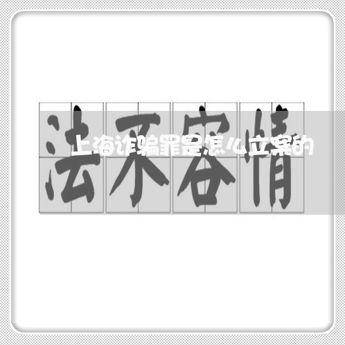上海诈骗罪是怎么立案的/2023021666371 上海诈骗罪是怎么立案的/2023021666371