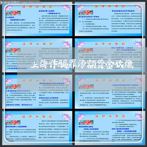 上海诈骗罪涉额资金收缴/2023021604026 上海诈骗罪涉额资金收缴/2023021604026
