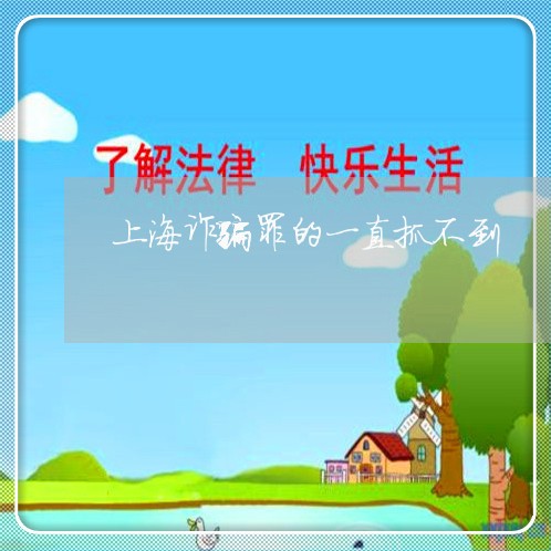 上海诈骗罪的一直抓不到/2023021605948 上海诈骗罪的一直抓不到/2023021605948