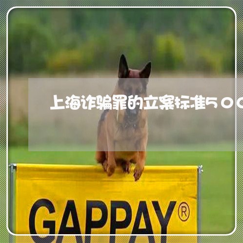 上海诈骗罪的立案标准500/2023032283636 上海诈骗罪的立案标准500/2023032283636