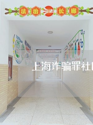 上海诈骗罪社区矫正案例/2023041162604