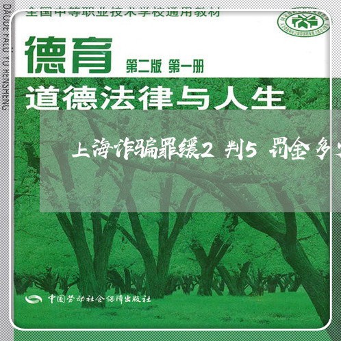 上海诈骗罪缓2判5罚金多少/2023032226059
