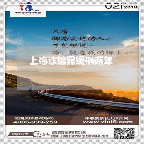 上海诈骗罪缓刑两年/2023032502715 上海诈骗罪缓刑两年/2023032502715