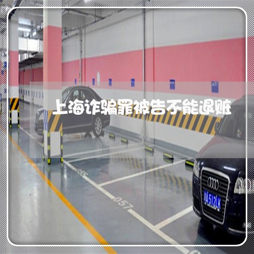 上海诈骗罪被告不能退赃/2023021603914 上海诈骗罪被告不能退赃/2023021603914