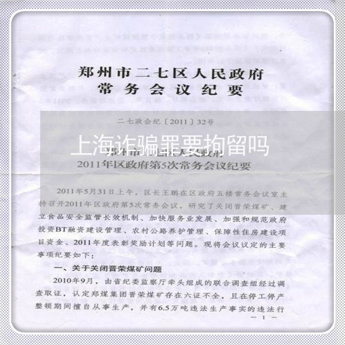 上海诈骗罪要拘留吗/2023032517049