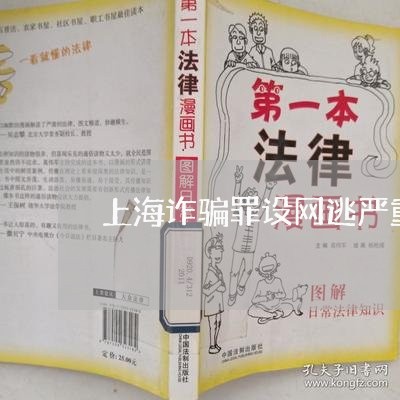 上海诈骗罪设网逃严重吗/2023041186036