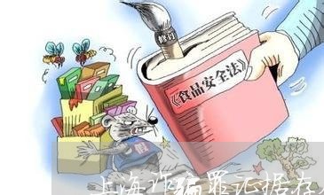 上海诈骗罪证据存在的问题/2023031970582