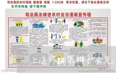 上海诈骗罪辩护意见/2023032525248