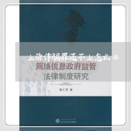 上海诈骗罪还不上怎么办/2023041116047