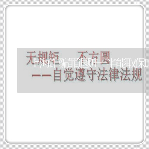 上海诈骗罪退赃一半能取保吗/2023032273948