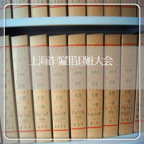 上海诈骗罪退赃大会/2023032420493