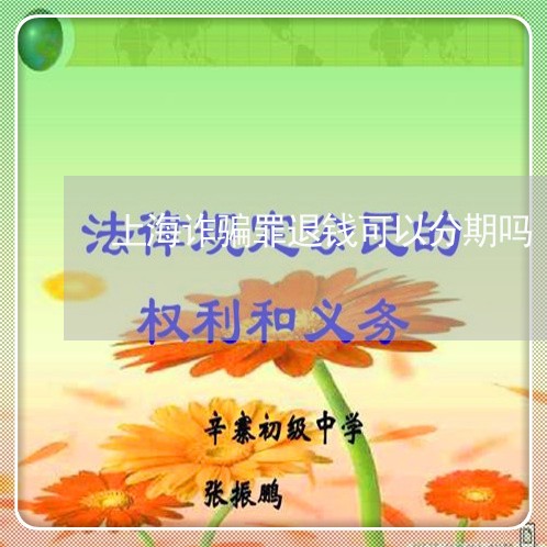 上海诈骗罪退钱可以分期吗/2023031925958