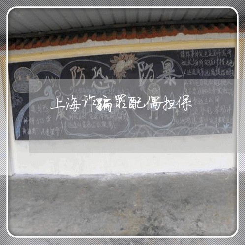 上海诈骗罪配偶担保/2023032540261 上海诈骗罪配偶担保/2023032540261