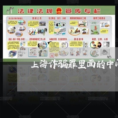 上海诈骗罪里面的中间人/2023041040393 上海诈骗罪里面的中间人/2023041040393