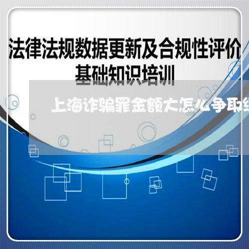 上海诈骗罪金额大怎么争取缓刑/2023041556284