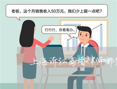 上海诉讼离婚律师哪里找/2023041162693