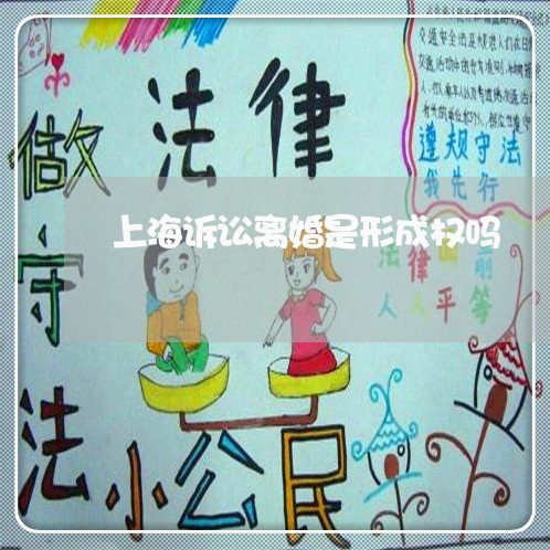 上海诉讼离婚是形成权吗/2023021678684