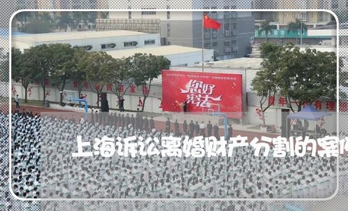 上海诉讼离婚财产分割的案例/2023032294935