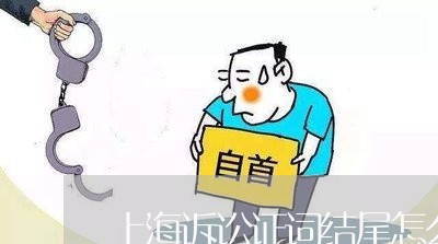 上海诉讼证词结尾怎么写/2023032335069